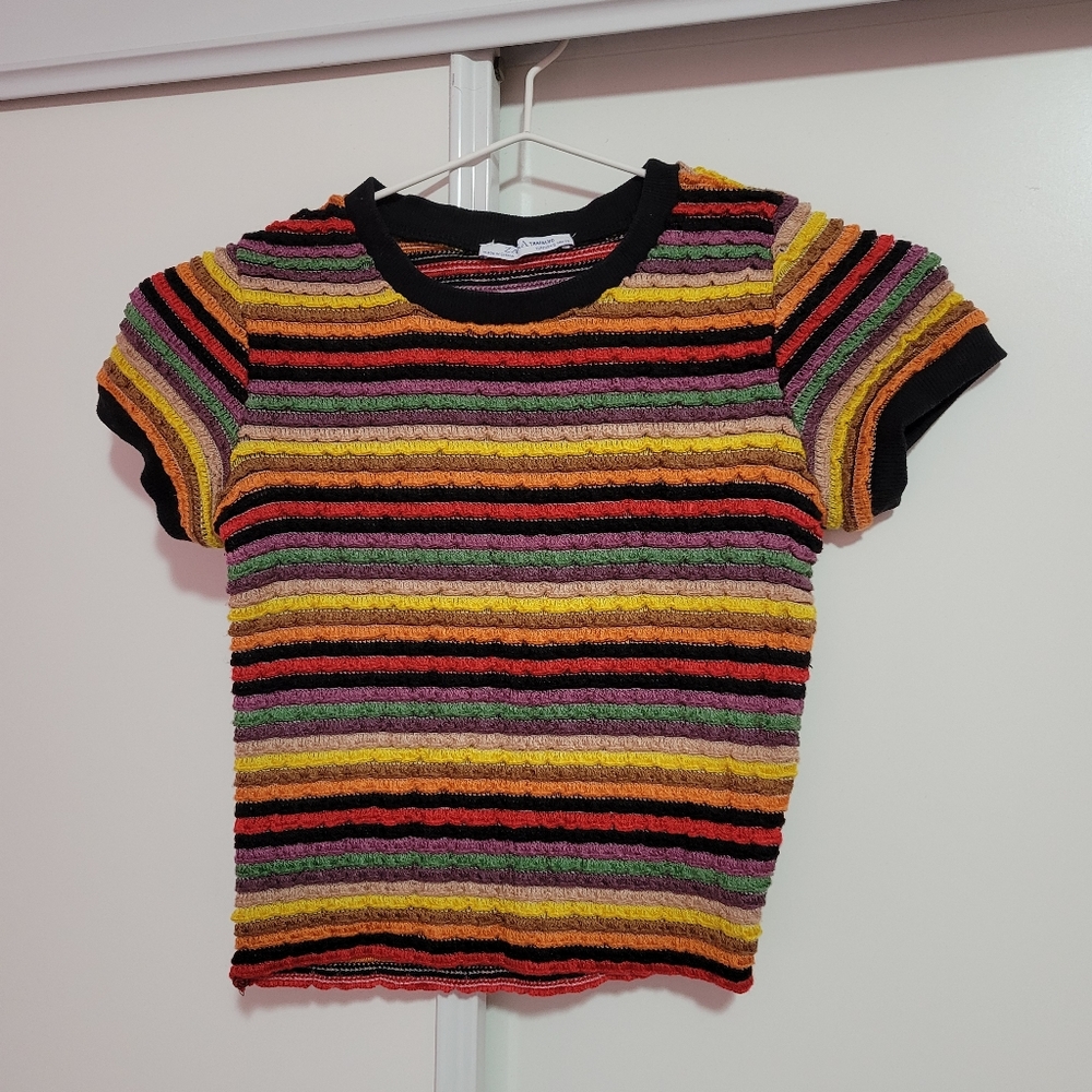ZARA rainbow knitted short sleeves crop top